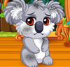 Pet Stars - Cuddly Koala